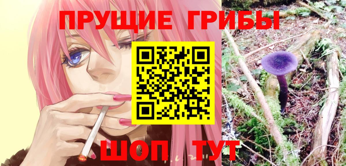 Вышний Волочёк  Галлюциногенные грибы Psilocybe  Вход с VPN  Галлюциногенные грибы мицелий 