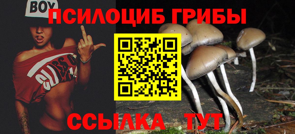 Псилоцибиновые грибы ЛСД Вышний Волочёк