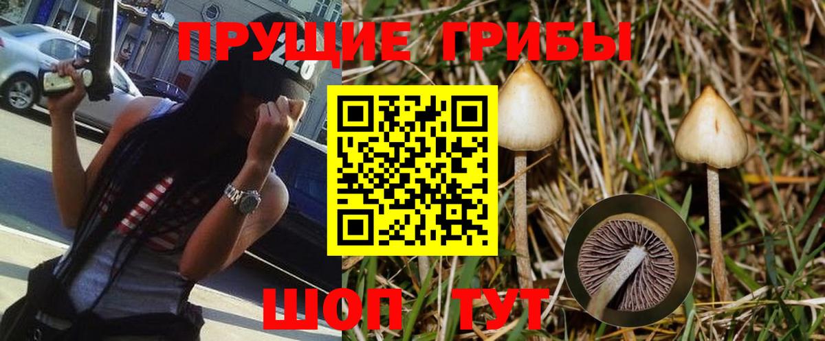 Вышний Волочёк  КОКАИН  Гашиш  Вход с VPN  ГАШ  Меф МЯУ МЯУ кристаллы  Кодеин 
